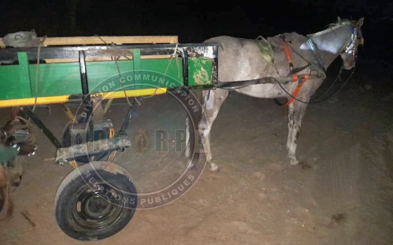 Gendarmerie nationale : Les détails de l'opération nocturne à Nianing et Warang