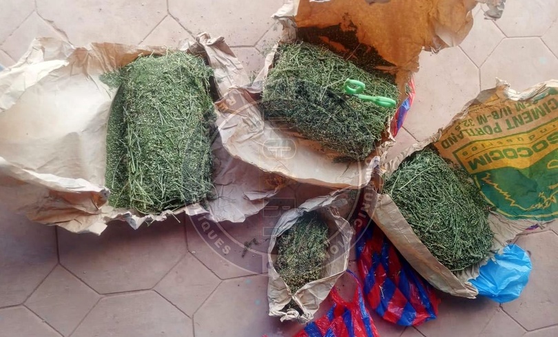 Sécurité frontalière : Importante saisie de stupéfiants à Médina Yoro Foulah Sécurité frontalière : Importante saisie de stupéfiants à Médina Yoro Foulah