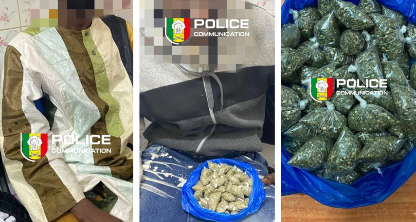 Kaolack : La BRS saisit 8 kg de chanvre indien et arrête deux trafiquants