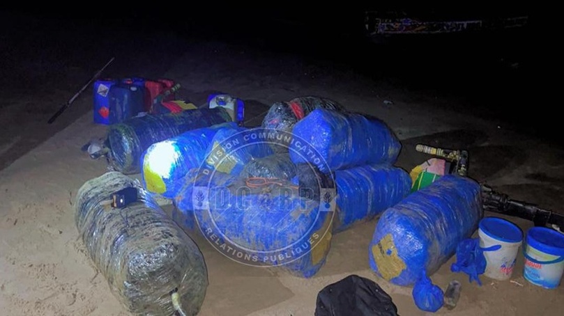 Joal : Saisie record de 510 kg de chanvre indien par la Gendarmerie de Mbour