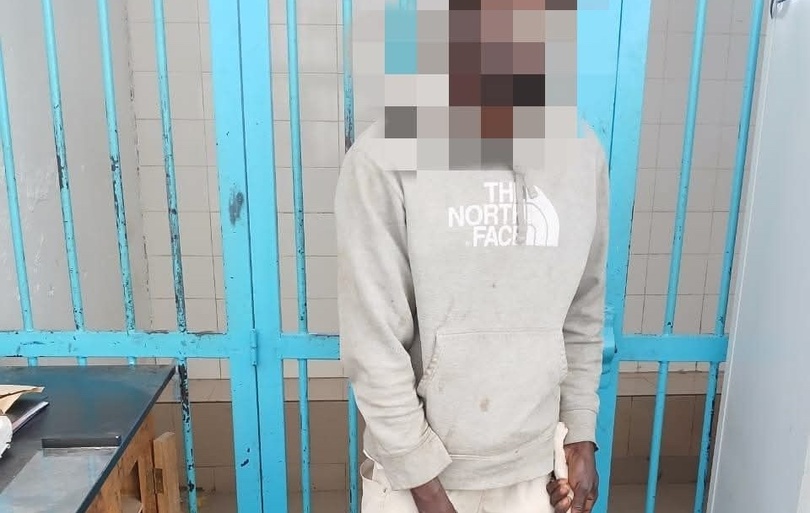 Affaire des " brochettes" de chat : les aveux glaçants du suspect Affaire des " brochettes" de chat : les aveux glaçants du suspect