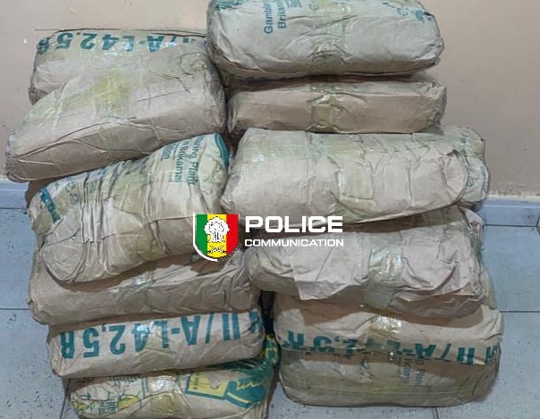 Kaolack : La Brigade des Stupéfiants saisit 25 kg de chanvre indien à Gagnick