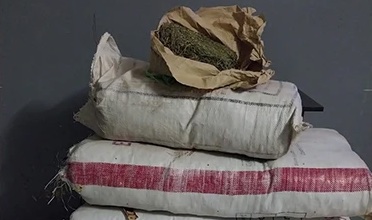 Course-poursuite à Sédhiou : La BRS intercepte 80 kilos de chanvre indien à Niadième