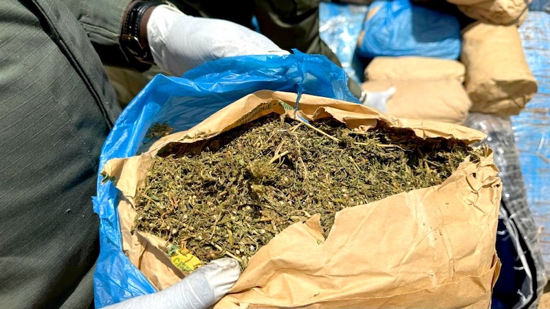 Dakar : L’OCRTIS saisit 254 kg de chanvre indien et arrête trois individus