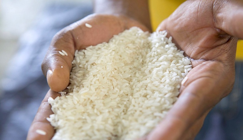 12 novembre 2026 : Ce qui change pour les importateurs et les producteurs de riz 12 novembre 2026 : Ce qui change pour les importateurs et les producteurs de riz