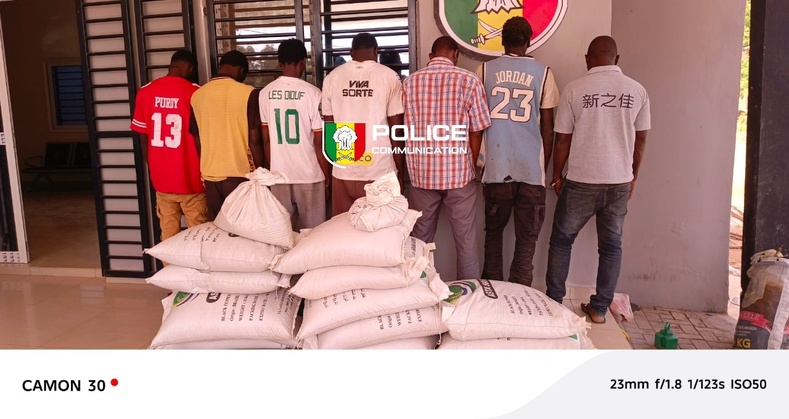 Bignona : Huit arrestations après le vol de 39 sacs de poivre à 5 millions de FCFA Bignona : Huit arrestations après le vol de 39 sacs de poivre à 5 millions de FCFA