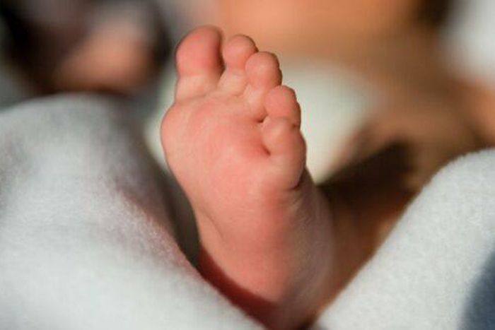 Saint-Louis : Un nouveau-né retrouvé mort dans un jardin public