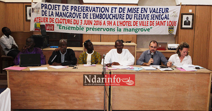 Saint-Louis : l’intercommunalité protège la Mangrove. Saint-Louis : l’intercommunalité protège la Mangrove.