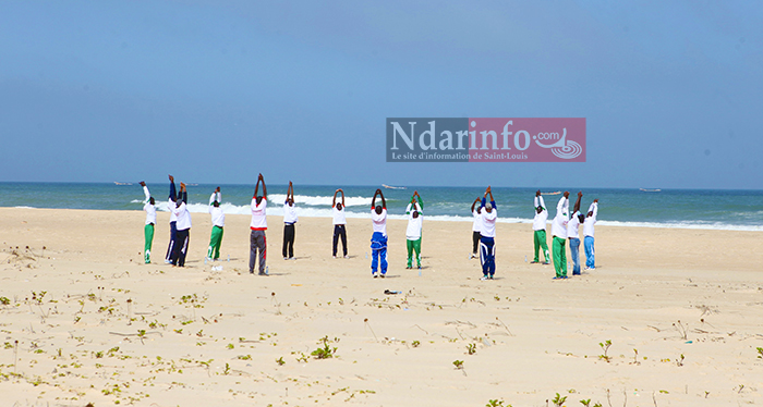 JOURNÉE DE L’ENVIRONNEMENT : synergie contre le commerce illicite d’espèces sauvages. JOURNÉE DE L’ENVIRONNEMENT : synergie contre le commerce illicite d’espèces sauvages.