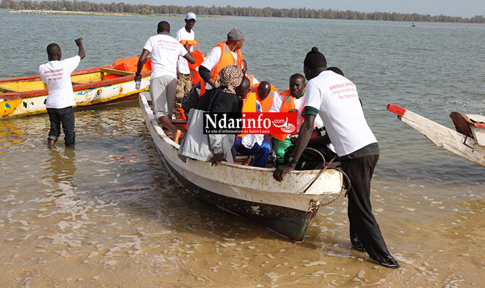 JOURNÉE DE L’ENVIRONNEMENT : synergie contre le commerce illicite d’espèces sauvages. JOURNÉE DE L’ENVIRONNEMENT : synergie contre le commerce illicite d’espèces sauvages.