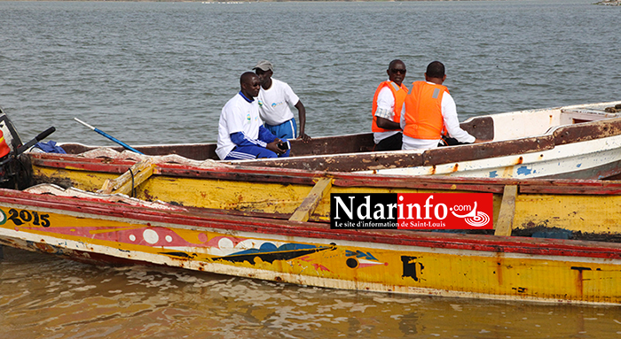 JOURNÉE DE L’ENVIRONNEMENT : synergie contre le commerce illicite d’espèces sauvages. JOURNÉE DE L’ENVIRONNEMENT : synergie contre le commerce illicite d’espèces sauvages.