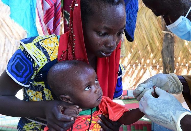 Paludisme : 47 pays déclarés exempts de la maladie selon le rapport 2026 de l'OMS