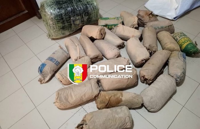 Thiaroye-sur-Mer : la BRS démantèle un réseau de trafic et saisit 41 kg de chanvre indien
