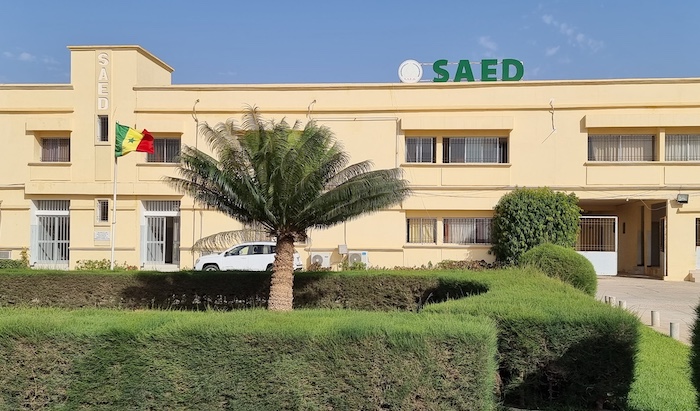 ERRATUM | SAED : le syndicat réclame le paiement des avances mais ne menace pas de grève