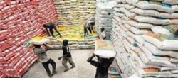 Importation : AfricaRice met en garde contre le riz importé Importation : AfricaRice met en garde contre le riz importé