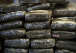 Louga : un réseau de trafiquants de drogue démantelé par la gendarmerie
