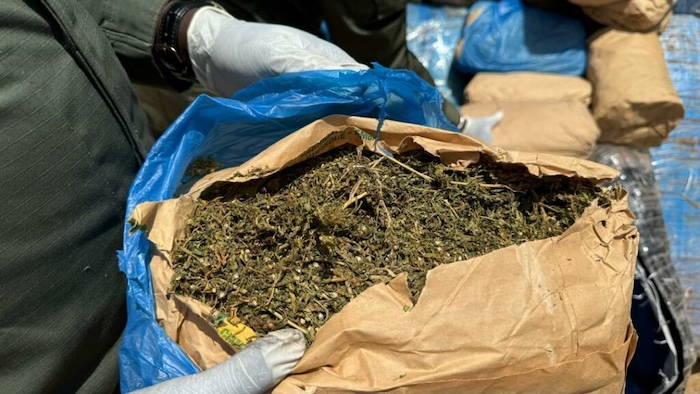 Lutte contre la drogue : Saisie de 63 kg de chanvre indien par la BRS de Fatick à Karang