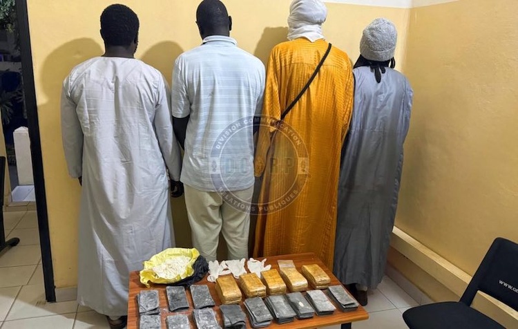 Mbour : Un réseau de faux monnayeurs démantelé avec 752 millions de FCFA