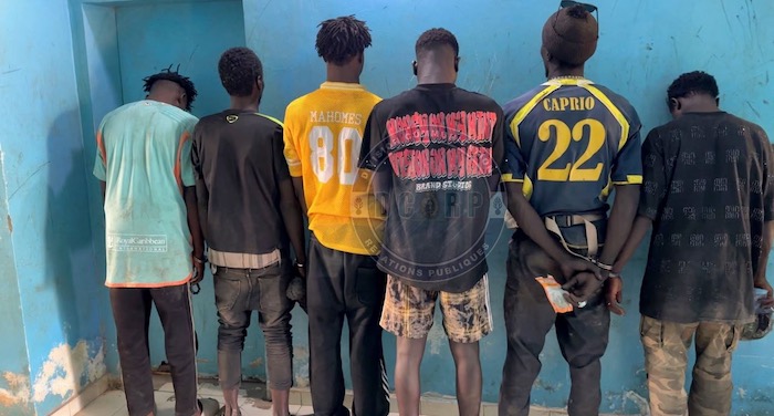 Diamniadio : Six trafiquants interpellés avec du Kush et du chanvre indien