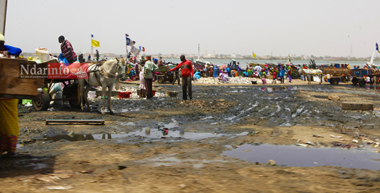DIAMALAYE, la pire souffrance de Saint-Louis. DIAMALAYE, la pire souffrance de Saint-Louis.