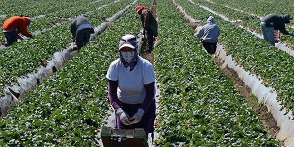Immigration en Espagne : Un nouveau visa de 12 mois pour les chercheurs d'emploi