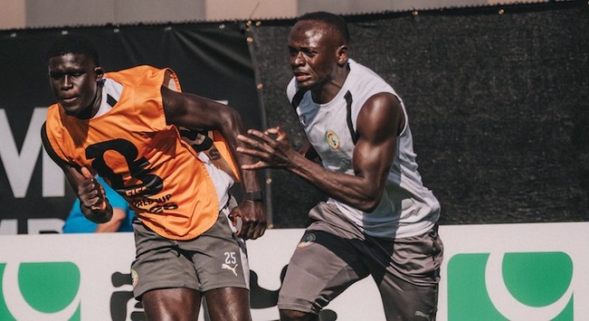 Pape Thiaw lucide, Koulibaly mobilisateur : les Lions se remettent en ordre de marche Pape Thiaw lucide, Koulibaly mobilisateur : les Lions se remettent en ordre de marche
