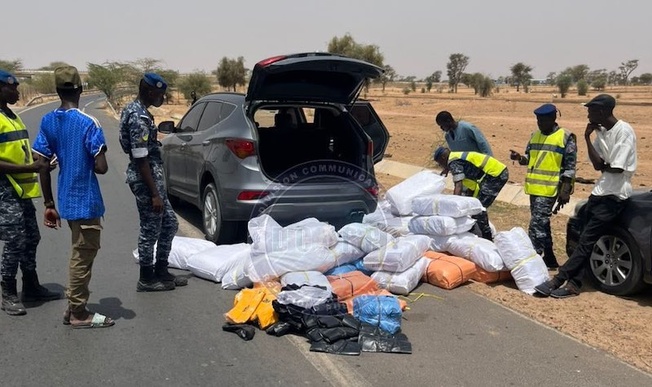 Touba : 358 interpellations et 12 kg de chanvre saisis lors de l'opération Saxxal Karangue Touba : 358 interpellations et 12 kg de chanvre saisis lors de l'opération Saxxal Karangue