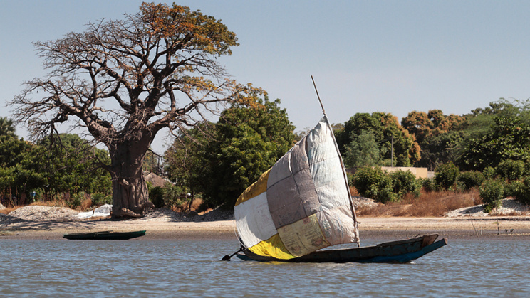 Non à la mort programmée du fleuve Sénégal et de ses affluents. Par Dr Ousmane Aly PAME Non à la mort programmée du fleuve Sénégal et de ses affluents. Par Dr Ousmane Aly PAME