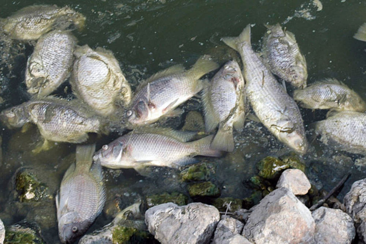 Images archives Internet Images archives Internet