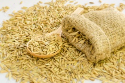 Riz paddy : le prix au producteur fixé à 125 francs le kilos