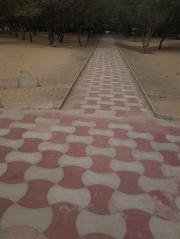 PHOTOS : ILLUSTRATION DU MODELE DE PAVES ET DE BORDURES PROPOSES PHOTOS : ILLUSTRATION DU MODELE DE PAVES ET DE BORDURES PROPOSES