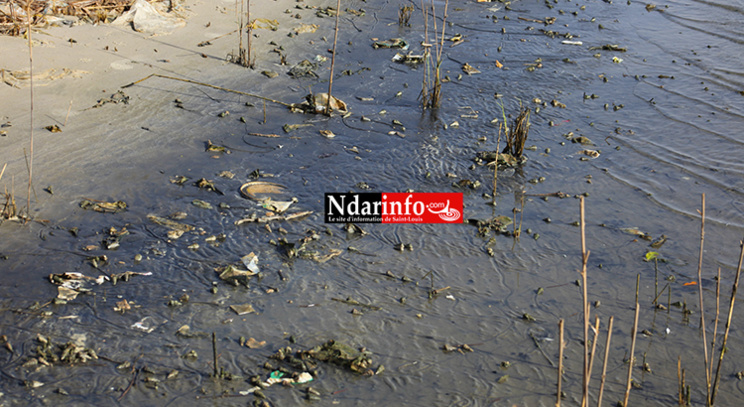 Saint-Louis : les déchets liquides des Chinois polluent le Fleuve (Photos)