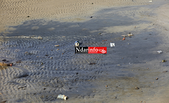 Saint-Louis : les déchets liquides des Chinois polluent le Fleuve (Photos)