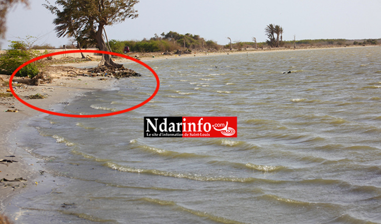 Le Canal deverse les dechets liquides dans le fleuve Le Canal deverse les dechets liquides dans le fleuve