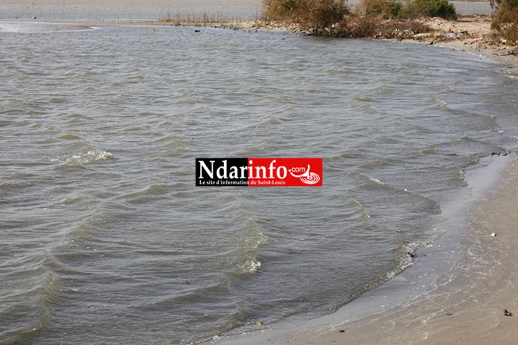 Saint-Louis : les déchets liquides des Chinois polluent le Fleuve (Photos)