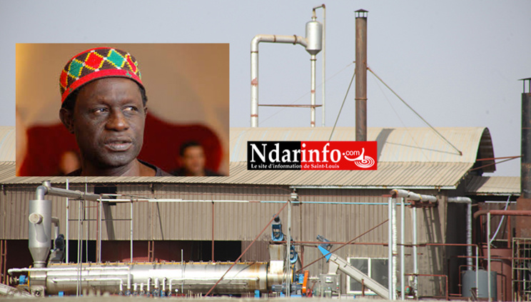 Les Chinois polluent Saint-Louis : le Cinéaste Moussa TOURE crie au scandale et interpelle le Président Macky SALL : «  je vais faire un film ».