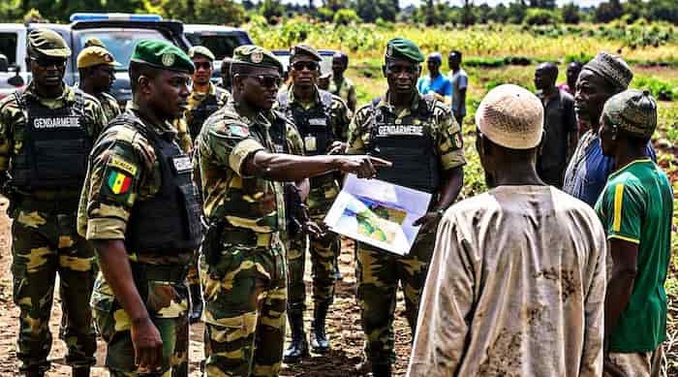 Sénégal-Gambie : les agriculteurs gambiens récupèrent leurs exploitations Sénégal-Gambie : les agriculteurs gambiens récupèrent leurs exploitations