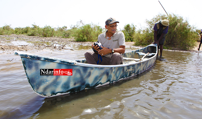 ENVIRONNEMENT: l’ACTS repousse le typha | Vidéo | ENVIRONNEMENT: l’ACTS repousse le typha | Vidéo |