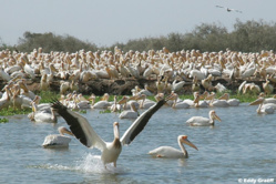 1ère Edition du concours sur le tourisme durable : Orni Tourisme Sénégal séduit le jury
