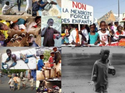 OPINION | Lutter contre la mendicité sans BRÛLER nos daaras ! Par Nioxor Tine