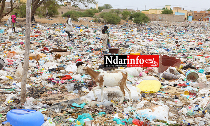 Dépotoirs sauvage d'ordures ménagères à Dioubel, un quartier de la Commune de ROSSO( Wilaya du TRARZA/Mauritanie). Crédit Photo: NdarInfo