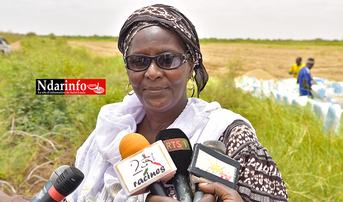 Fatoumata DIALLO, productrice de riz à Grand Digue Fatoumata DIALLO, productrice de riz à Grand Digue