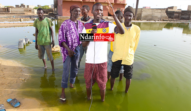(VIDÉO) Concessions, mosquées et boutiques bloquées : Dépité par les inondations, SOR DAGA menace de manifester. (VIDÉO) Concessions, mosquées et boutiques bloquées : Dépité par les inondations, SOR DAGA menace de manifester.