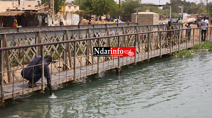 Richard-Toll : Pont Sermat ou pont de la honte (vidéo)  Richard-Toll : Pont Sermat ou pont de la honte (vidéo)