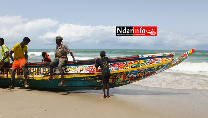 Exploitation du pétrole: des menaces pèsent sur la pêche à Saint-Louis (vidéo) Exploitation du pétrole: des menaces pèsent sur la pêche à Saint-Louis (vidéo)