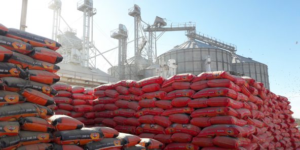 Agroalimentaire : privé de riz, Vital tire le signal d’alarme
