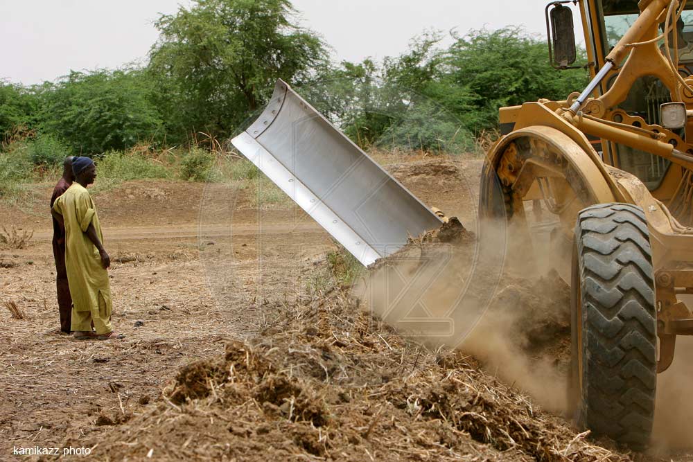 Podor : des partenaires révolutionnent les pratiques agricoles