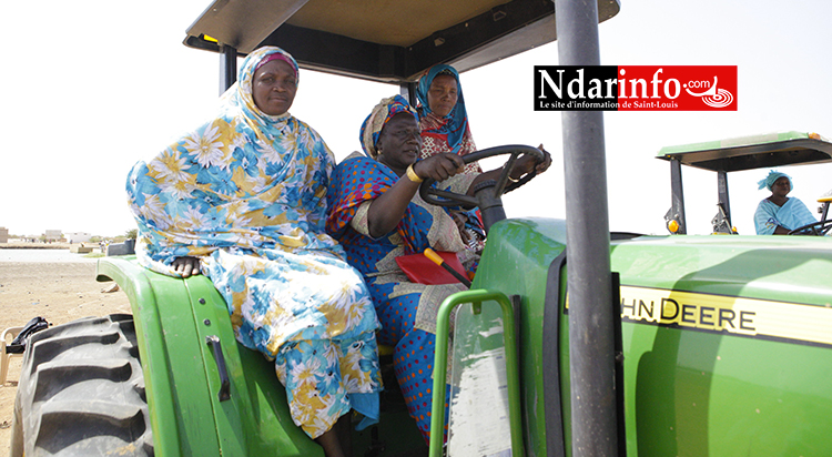 Des productrices sur des moisonneuses batteuses offertes par le PRACAS