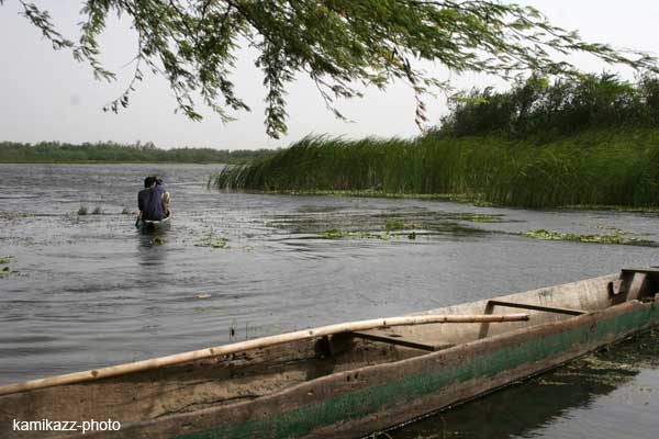 Fleuve Sénégal: Macky Sall remplace Alpha Condé à la tête de l’organisation