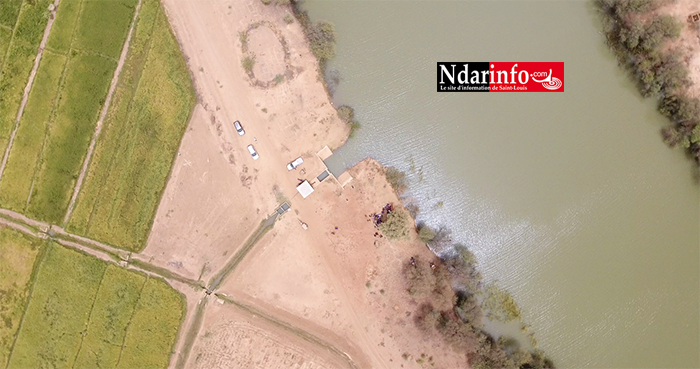 RIZICULTURE : 330 ha aménagements de la KOICA boostent le secteur à PODOR ( vidéo ) RIZICULTURE : 330 ha aménagements de la KOICA boostent le secteur à PODOR ( vidéo )